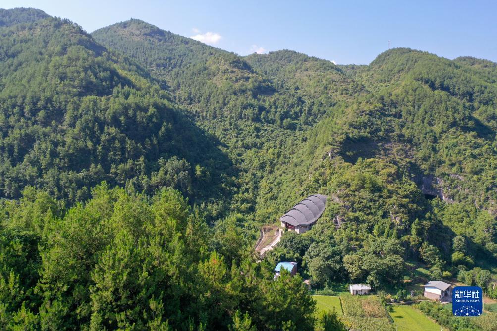百家乐免佣模式